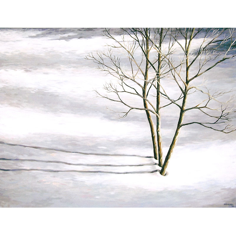 Three Birches ©2003